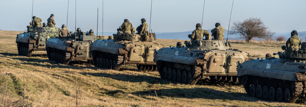 Češi cvičili s Nizozemci