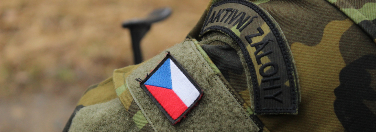 Aktivní záloha u 31