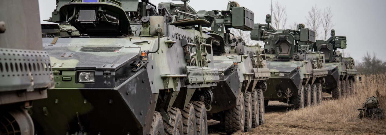 Aktivní záloha 41. mpr v Doupovských horách.