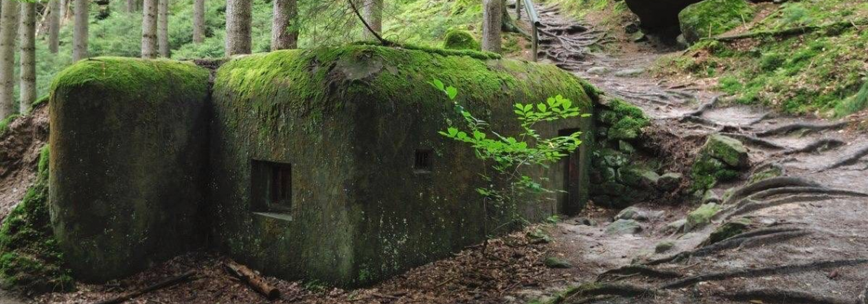 Řopík – lehké opevnění vzor 37 v pohraničním lese, součást československého opevnění z roku 1938