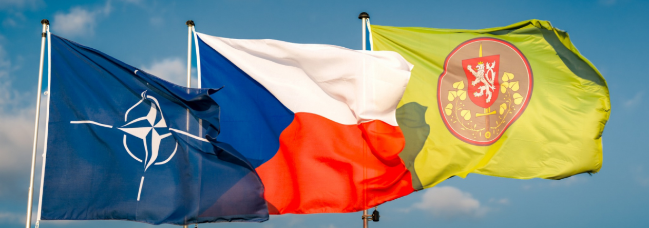 Nato a pozemní síly