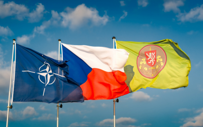 Nato a pozemní síly