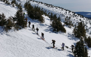 Krkonoše Krkonoše