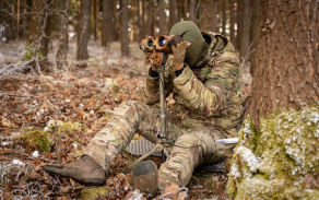 Vyžadování palebné podpory