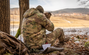 Vyžadování palebné podpory