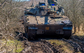 Češi cvičili s Nizozemci