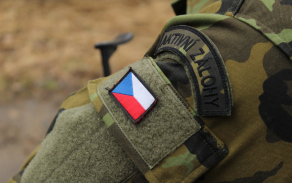 Aktivní záloha u 31