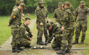 Aktivní záloha u 31