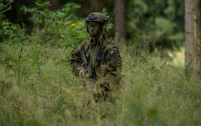 Dobrovolné vojenské cvičení