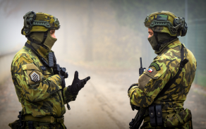 role profesí v praporech teritoriální obrany