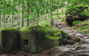 Řopíky: tichá síla odhodlání první republiky