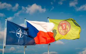 Nato a pozemní síly