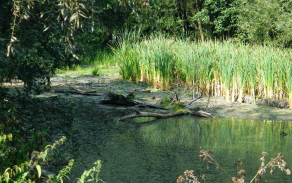 Přírodní rezervace Škrabalka v Lipníku nad Bečvou